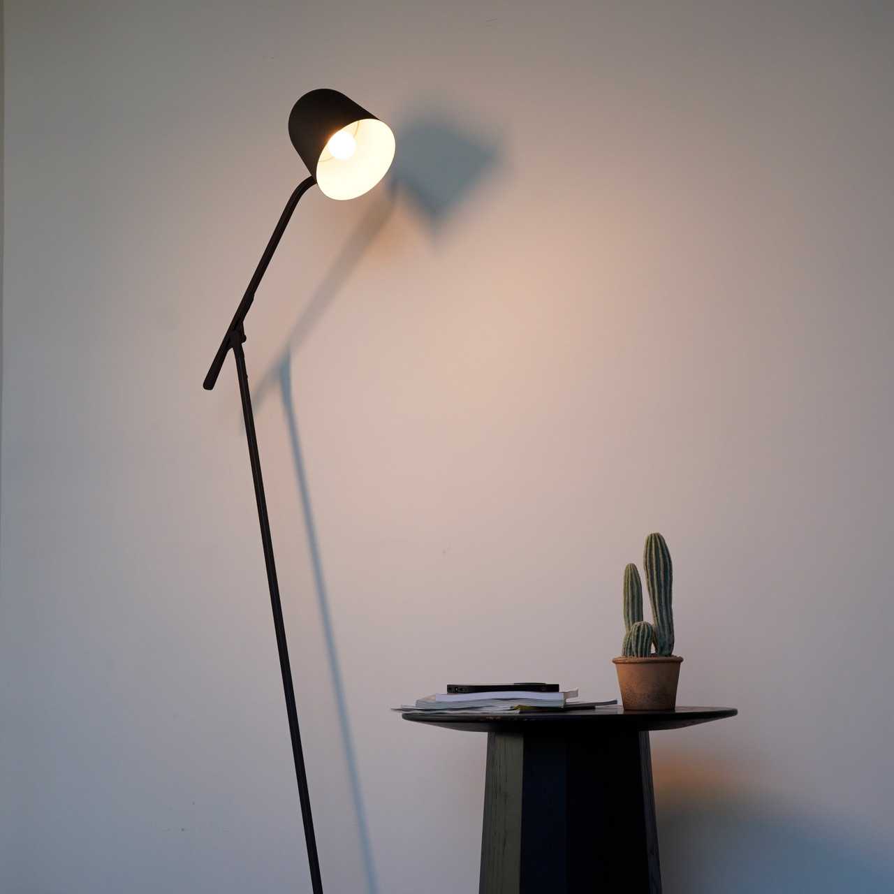 Cleo Black Metal Floor Lamp - Zest Lighting