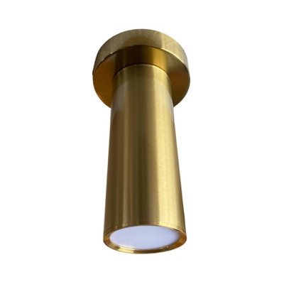 Spot Brass Ceiling Light