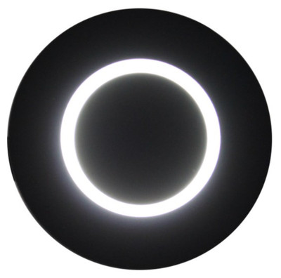 Astro Black Wall Light