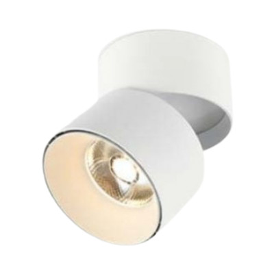 Ovelyn Adjustable Surface-Mounted LED Downlight - White