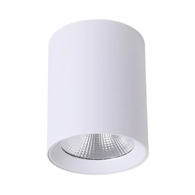 Paco Surface Mounted White Tricolour LED Downlight