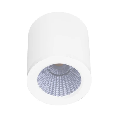 Propus IP54 3CCT LED Surface Mounted Downlight - White