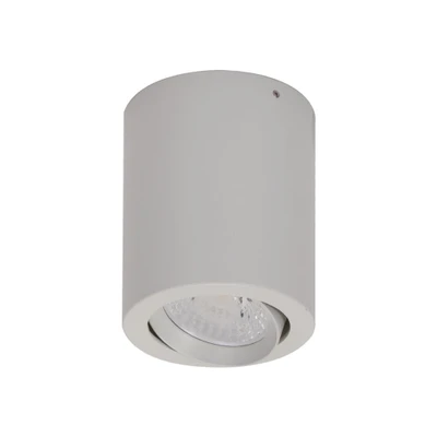 Neo 10W Surface Mounted Tiltable Downlight - White