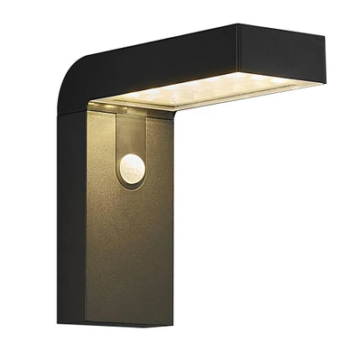 Alya Black Solar LED Cordless Wall Light with Sensor
