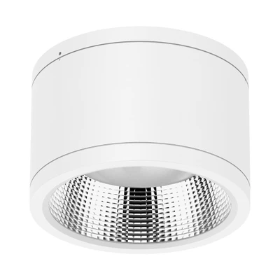 Neo Pro White Surface Mounted LED Downlight