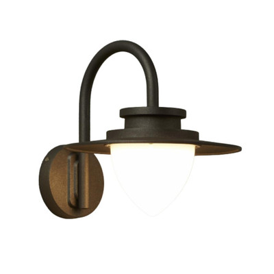 Hyacinth Graphite Outdoor Wall Lantern