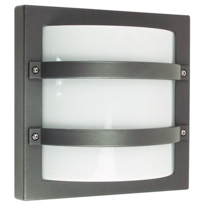 Larry Graphite Outdoor Bunker Wall Light