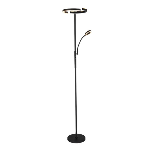 Cyclops Black CCT LED Mother & Child Floor Lamp