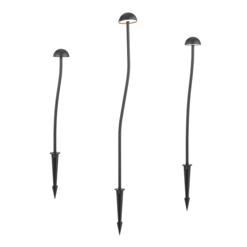 Gien 24V DC IP65 LED Garden Spike Light Set - Black