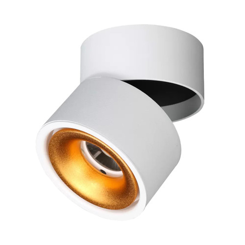 Fei 12W 3CCT LED Rotating Folding Downlight - White & Gold