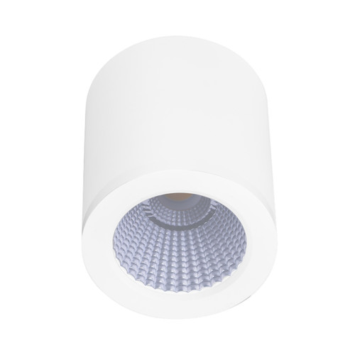 Propus IP54 3CCT LED Surface Mounted Downlight - White