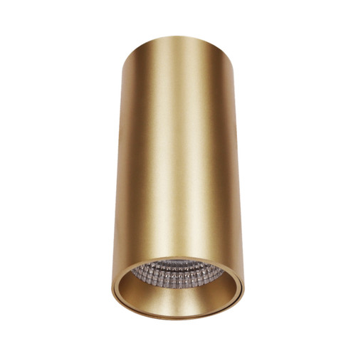 Kampene 15W Mounted 5CCT LED Downlight - Gold