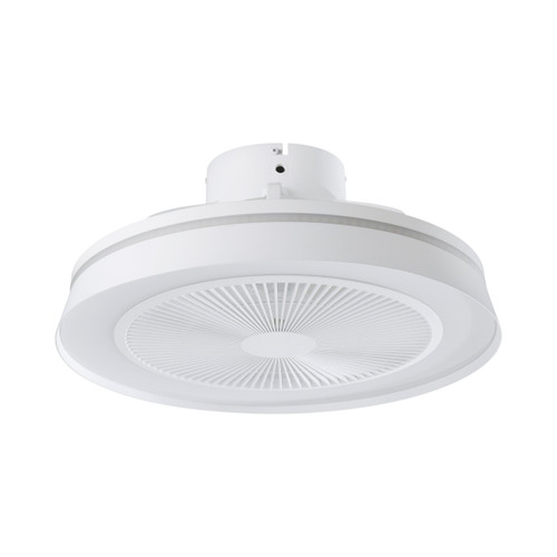 Vallonia 19-Inch White DC Ceiling Fan with RGB LED