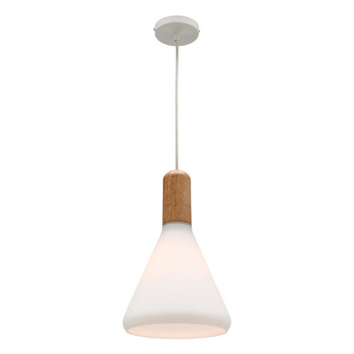 Deb Small Frost Glass with Timber Pendant Light