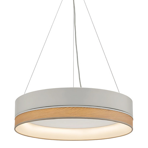 Fitz Round Dimmable LED Pendant Light-1