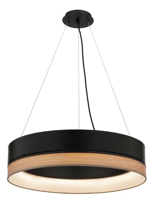 Fitz Round Dimmable LED Pendant Light in Black