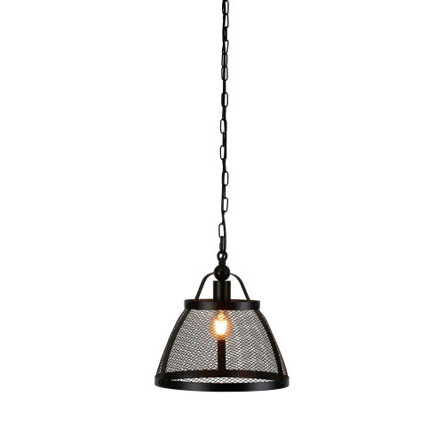 Liam Dome Black Wire Cage Industrial Rustic Pendant Light