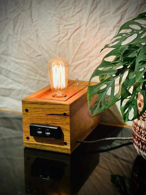 Techbox Pro USB Table Lamp