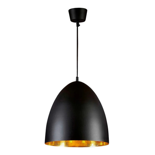 Egg Black Label Brass Pendant Light