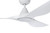 Surf White DC Ceiling Fan with Light-4