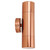 Shadow Copper Fixed Exterior Twin Wall Light