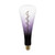4W T110 Spiral Filament Purple Ombre Warm White E27 LED Bulb