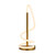 Lyona Abstract Gold LED Table Lamp-1