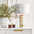 Compostela Travertine Table Lamp - White Shade-2