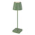 Mainz Green Rechargeable LED Table Lamp