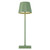 Mainz Green Rechargeable LED Table Lamp-2