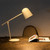Cleo Rice White Metal Table Desk Lamp-2