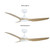 Raven RWS 64" Smart DC Ceiling Fan - White & Oak-4