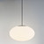 Obitron Black Oval Glass LED Pendant Light-1