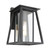 Dover Clear Glass Black Lantern Wall Light