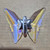 Adrados Butterfly Close Up Shot 1
