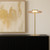 Carisse Amber Glass Minimalist Brass LED Table Lamp-1