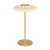 Carisse Opal Glass Minimalist Brass LED Table Lamp
