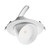 Ruwen White Dimmable Adjustable 3CCT LED Downlight