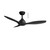 Elite Matt Black DC Smart Ceiling Fan with Remote-1