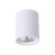 Paco Surface Mounted White Tricolour LED Downlight-2