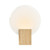 Hester Tempered Frosted Glass Night Wall Light - Wood Foil