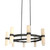 Pauline 16 Light Black Ring Chandelier