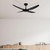 Amari II 52 DC Ceiling Fan - Black-1