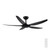 Amari II 56 DC Ceiling Fan - Black