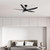 Amari II 56 DC Ceiling Fan - Black-1