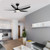 Amari II 56 DC Ceiling Fan with LED - Black-1