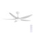 Amari II 56 DC Ceiling Fan with LED - White
