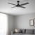 Cairns 48 AC Ceiling Fan - Black-1