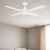 Cairns 48 AC Ceiling Fan - White-1