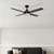 Cairns 48 AC Ceiling Fan with B22 Light - Black-1